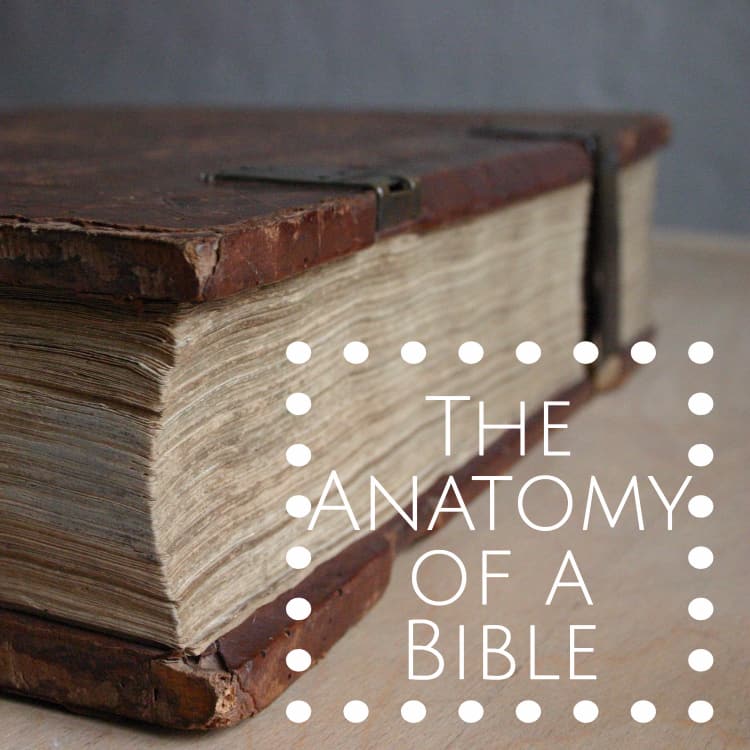 The Anatomy of a Bible – A Guide for Beginners