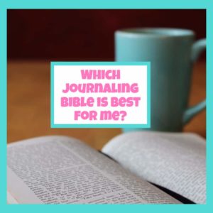 bible journal selection tool